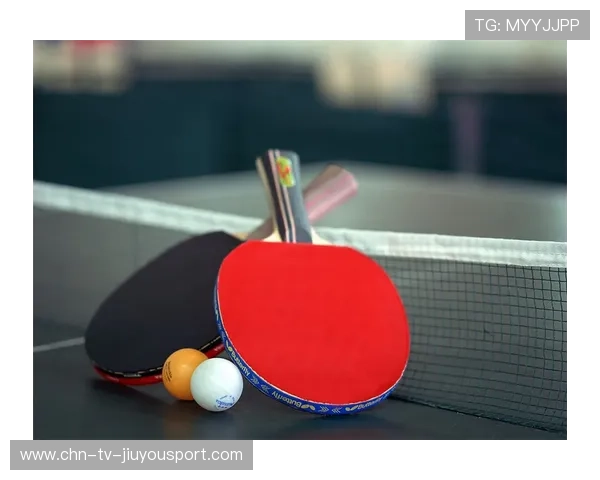 乒乓德甲俱乐部商业困境，欧洲观察带你看未来，德国乒乓球联赛收入