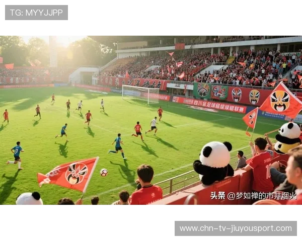 中国足球职业联赛提升赛事观众互动体验，中国足球职业联赛正式开始